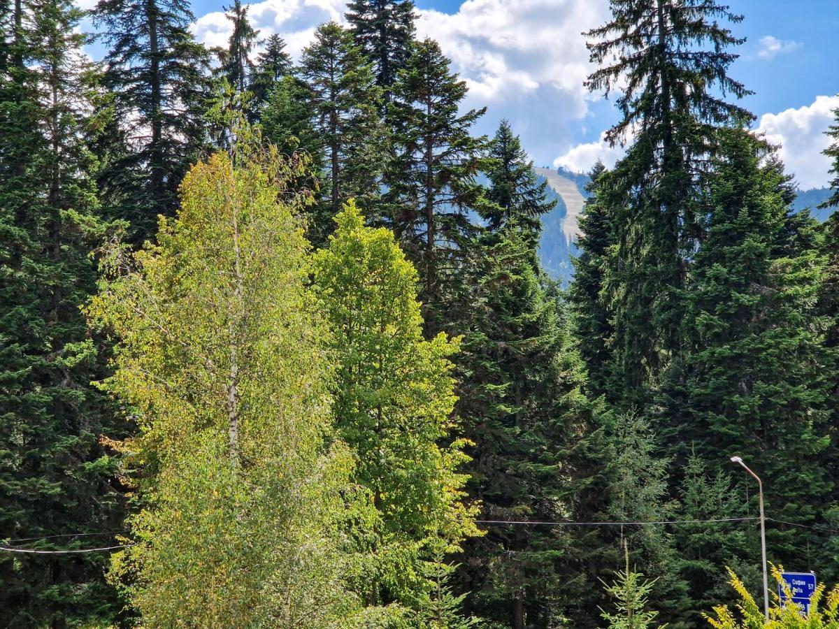 Sunny Apartment C25 Borovets Luaran gambar